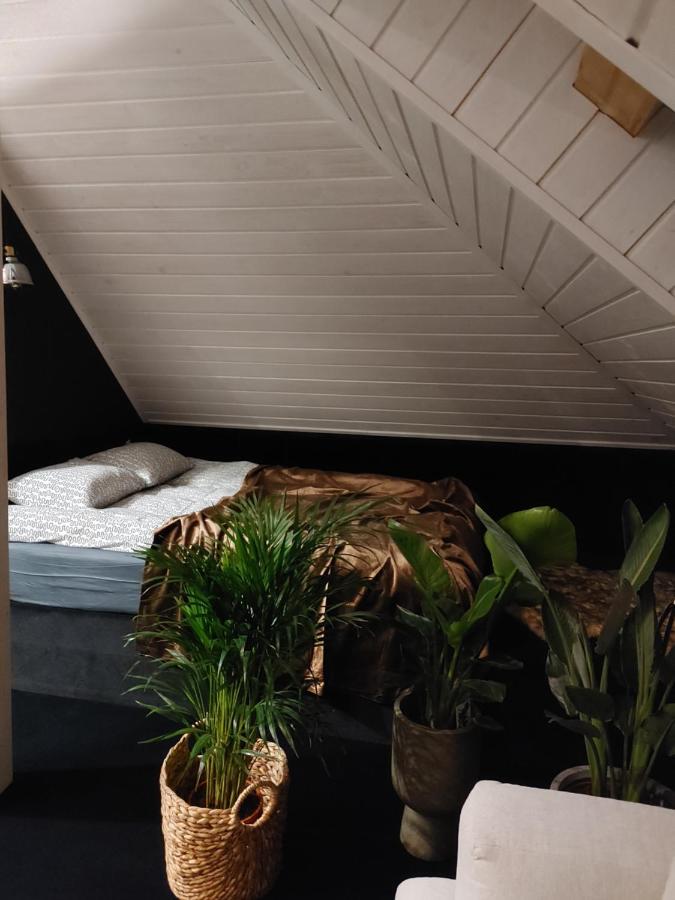 Apartament Lipowa 3 مارونجوفو المظهر الخارجي الصورة